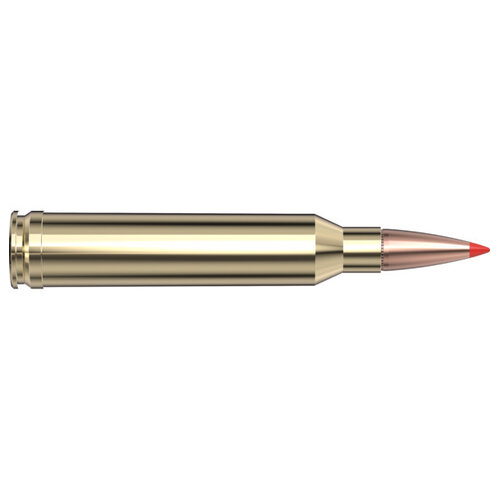 Hornady Superformance Ammunition