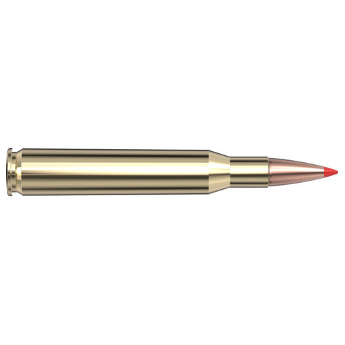 Hornady Superformance Ammunition