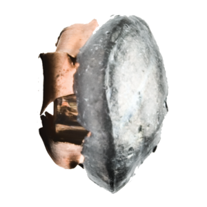 NOSLER ASP Assured Stopping Power 250 Count