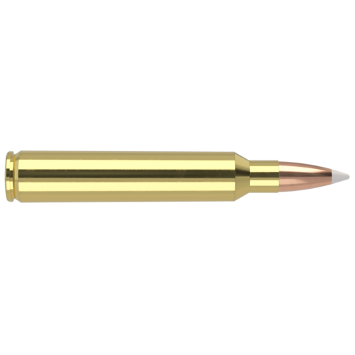 NOSLER Trophy Grade Ammunition