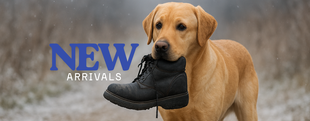 New arrivals of the products you will love!