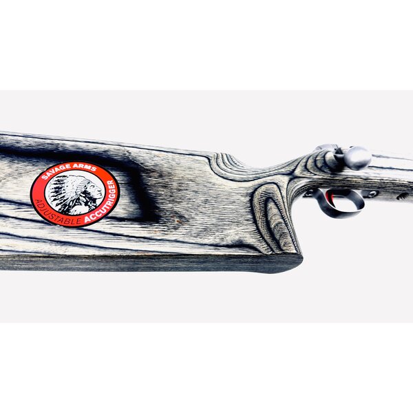 Savage Arms Model 12 F Class 6.5x284 Norma, Scope Rail, Competition Dies, Brass, Ammo, Manual, Excellent Condition