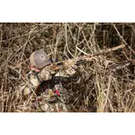 Browning Maxus II Max-7 camo 12 gauge 3.5" 28" 3 Knurled Extended Invector-Plus Choke Tubes - 2025 Shotshow Special