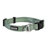 Kuma Lazy Bear Dog Collar