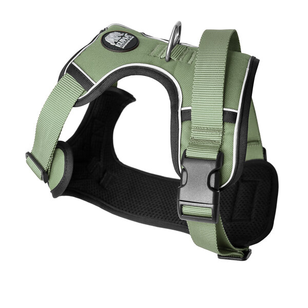 Kuma Lazy Bear Dog Harness