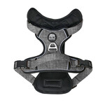 Kuma Lazy Bear Dog Harness