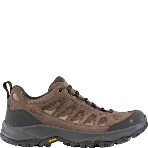 Oboz Footwear Men's Sawtooth Ascent Low B-Dry