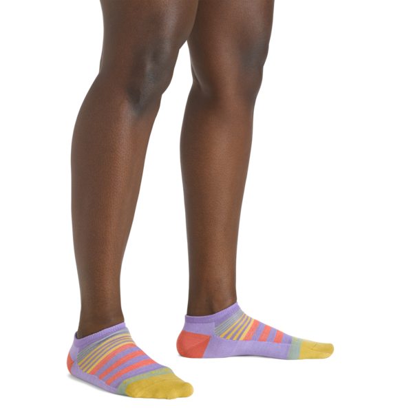 Darn Tough Lifestyle No Show / Lightweight 6073