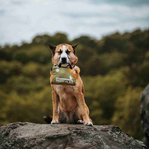 Adventure Medical Kits Trail Dog Medical Kit