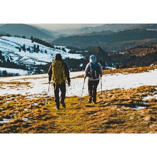 Trekking Poles