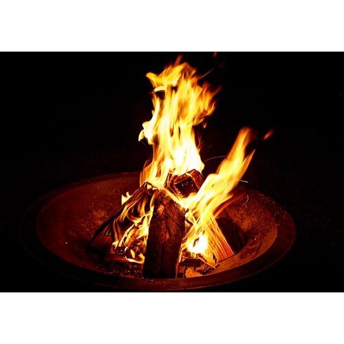 Premium Emergency Fire Starters & Survival Tinder