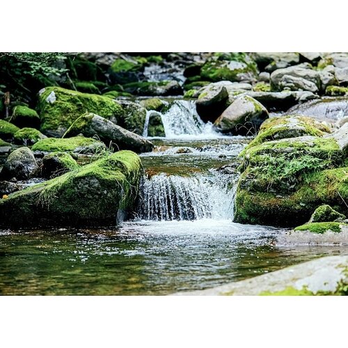 Premium Backcountry Water Filters & Purification Systems