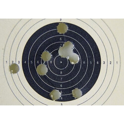 Paper Targets, 3D Targets & Range Sight-In Sheets