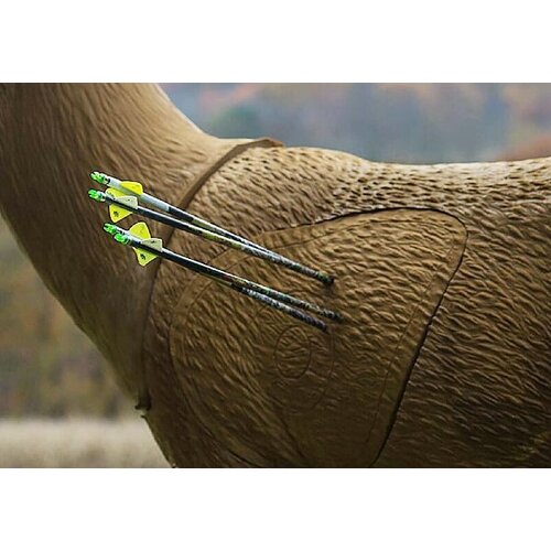 Targets