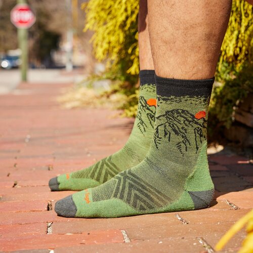 Darn Tough Men's Run Micro Crew / Lightweight with Cushion 1066 Darn Tough Men's Run Micro Crew / Lightweight with Cushion 1066