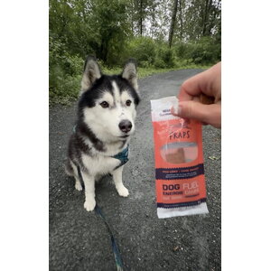 Fraps Dog Fuel