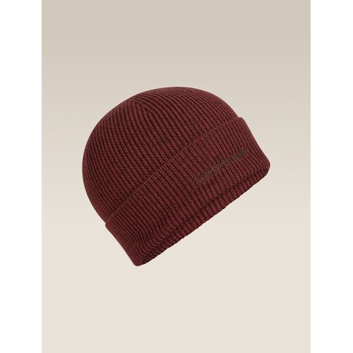 Icebreaker All Day Toque Beanie