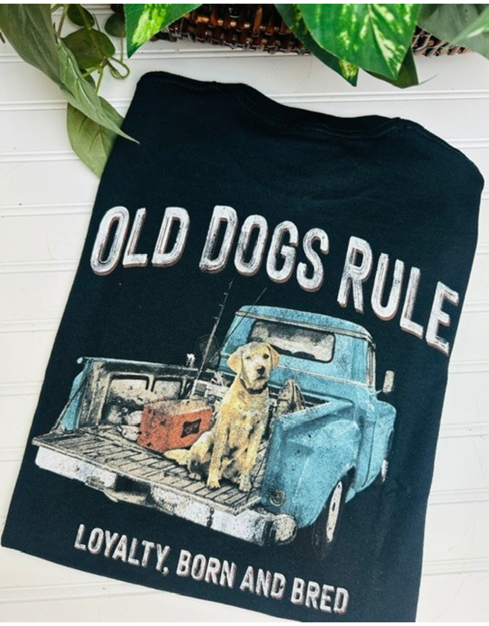 Old Guys Rule Old Guys Rule Old Dogs T-Shirt