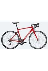 Cannondale Cannondale Optimo 1