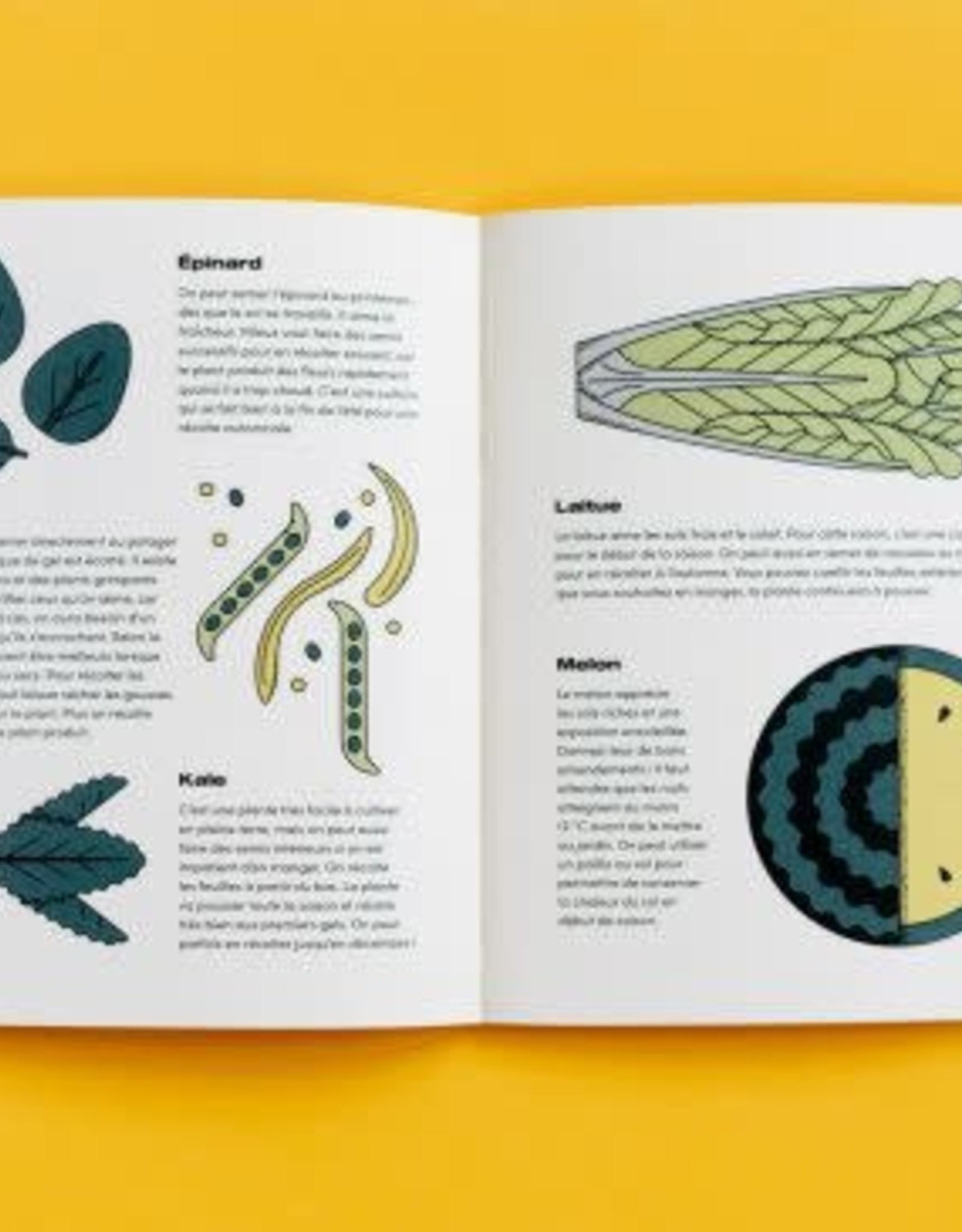 Nutritionniste Urbain Petit guide illustré du potager
