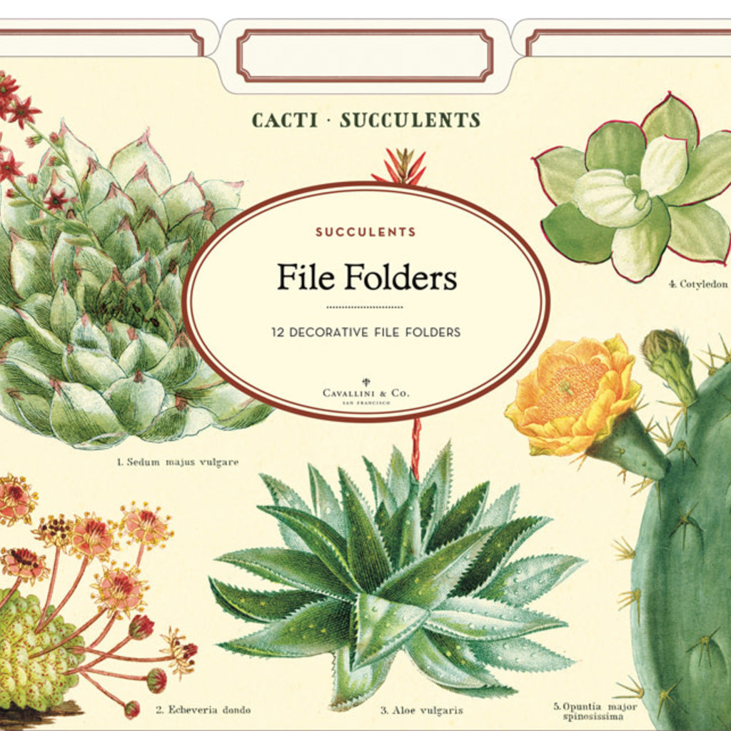 Succulents File Folders