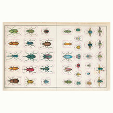 John Derian Sticker Book