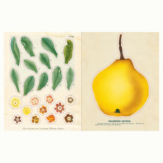 John Derian Sticker Book