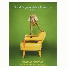 good dogs on nice furniture