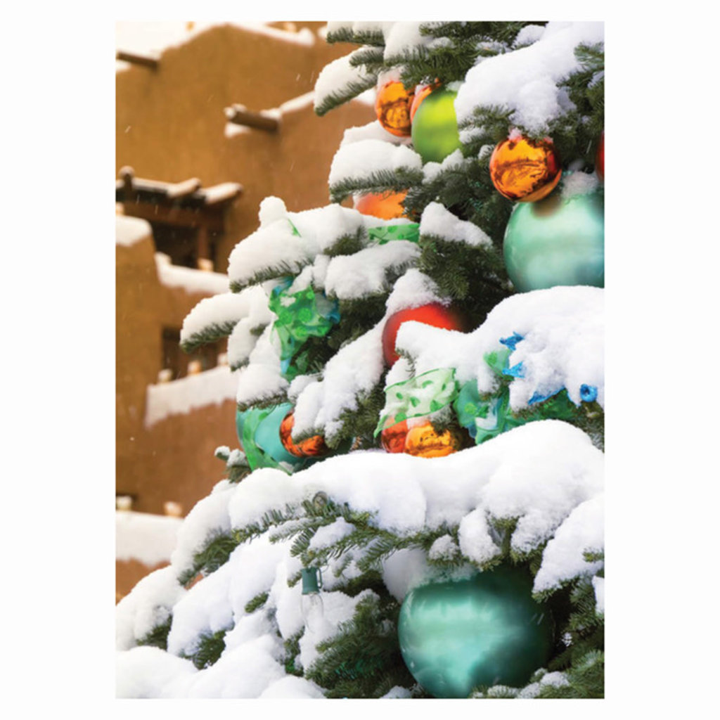 Snowy Tree Adobe House Holiday Cards