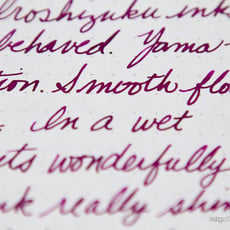 Iroshizuku Iroshizuku Yama-budo Crimson Glory Vine Ink