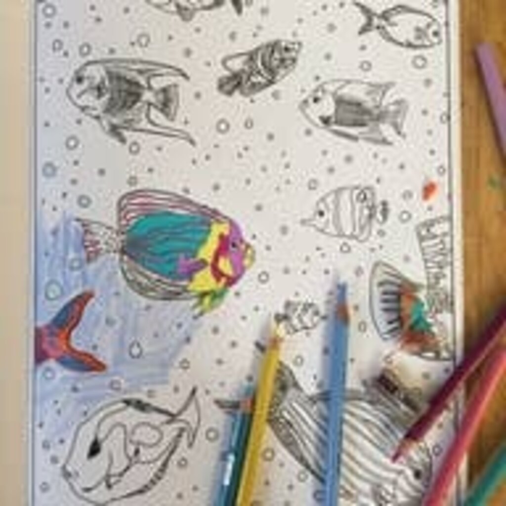 Seas to the Trees Coloring Book