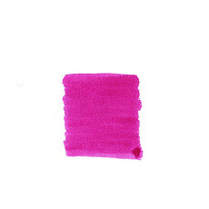Prickley Pear Cactus Fruit Noodlers Ink