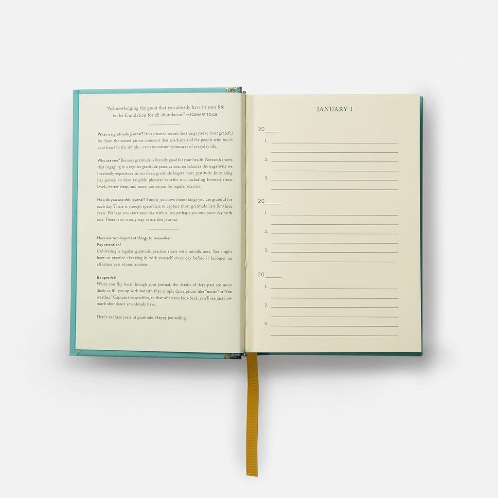 The Gratitude Journal