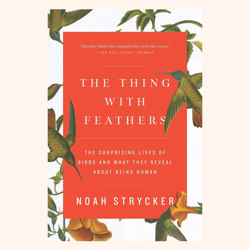 The Thing with Feathers