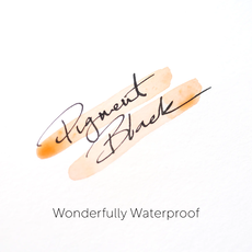 Pigment Black Fountain Pen Ink