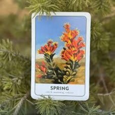 Oracle Cards: Elements of the Southwest