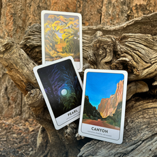 Oracle Cards: Elements of the Southwest