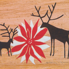 Wilderness Spirit Saga Boxed Cards