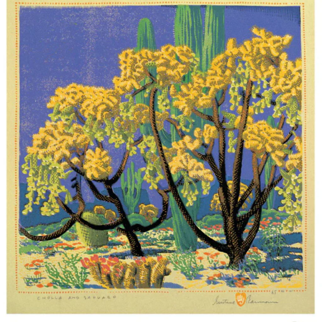 Baumann Southwest Landscape Card Set