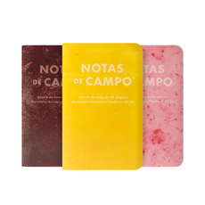 Field Notes Paletas Limited Edition Field Notes  Set/3