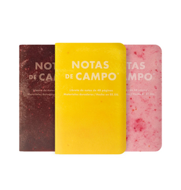 Field Notes Paletas Limited Edition Field Notes Set/3
