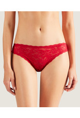 Aubade Rosessence Lace Italian Brief