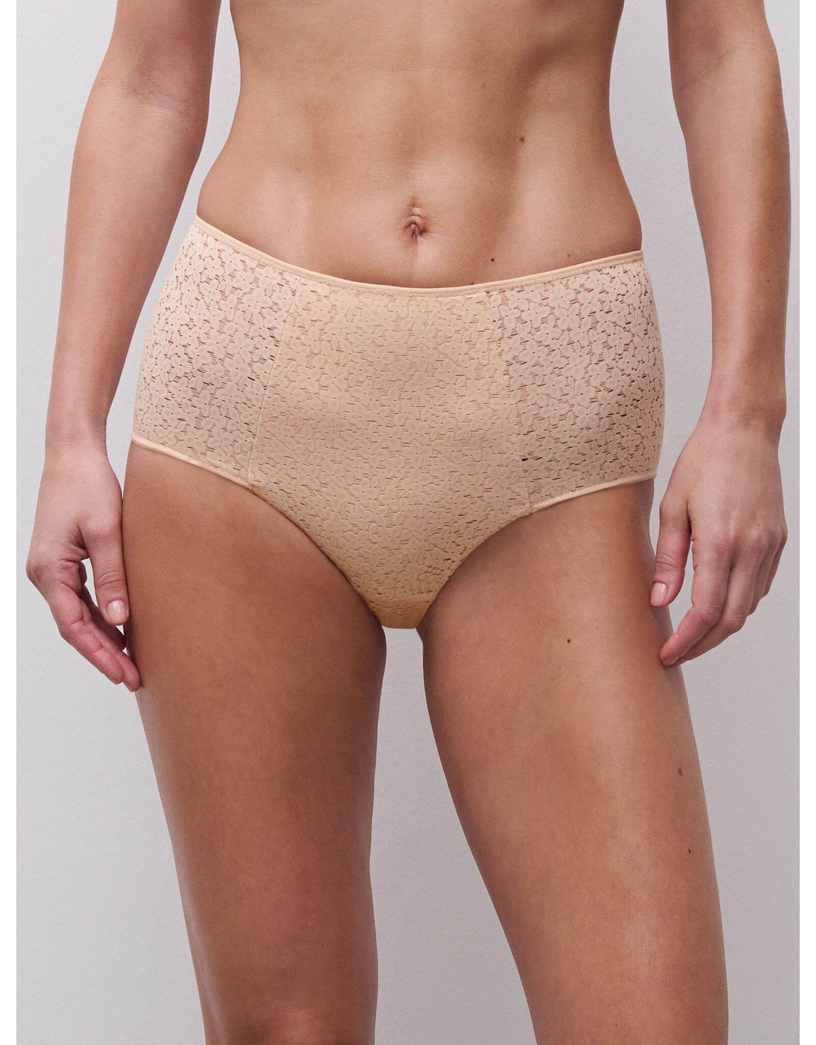 Chantelle Norah Light Control Full Brief