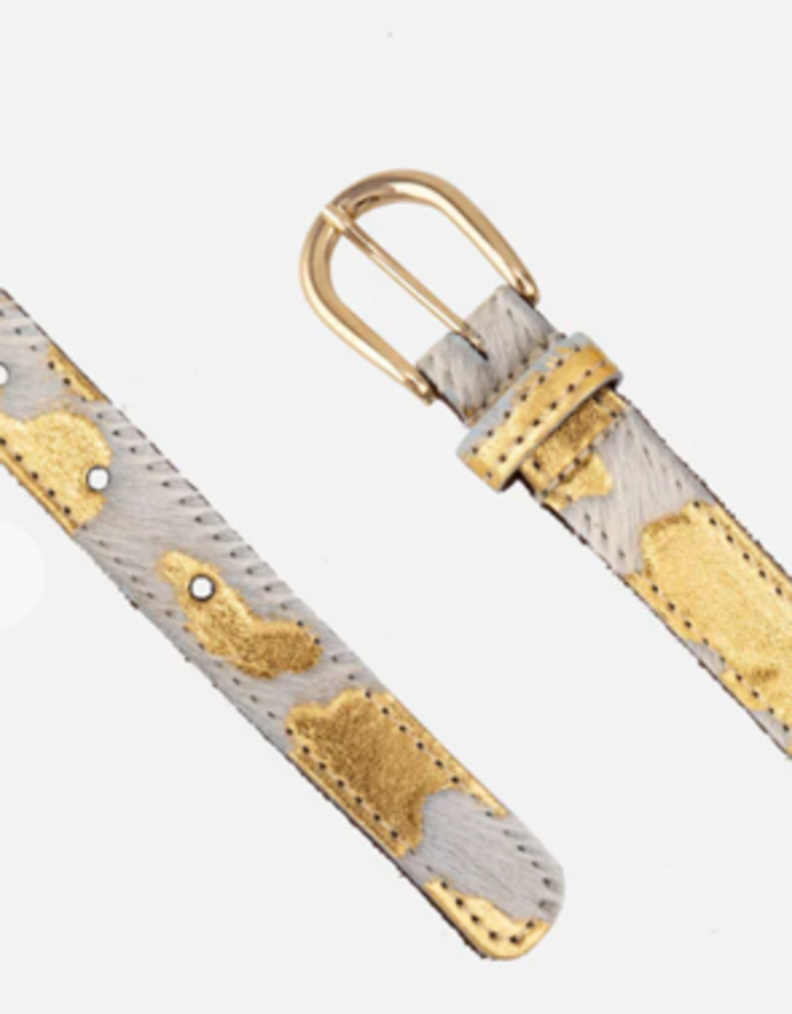 Amsterdam Heritage  Darya Metallic Gold Skinny Belt