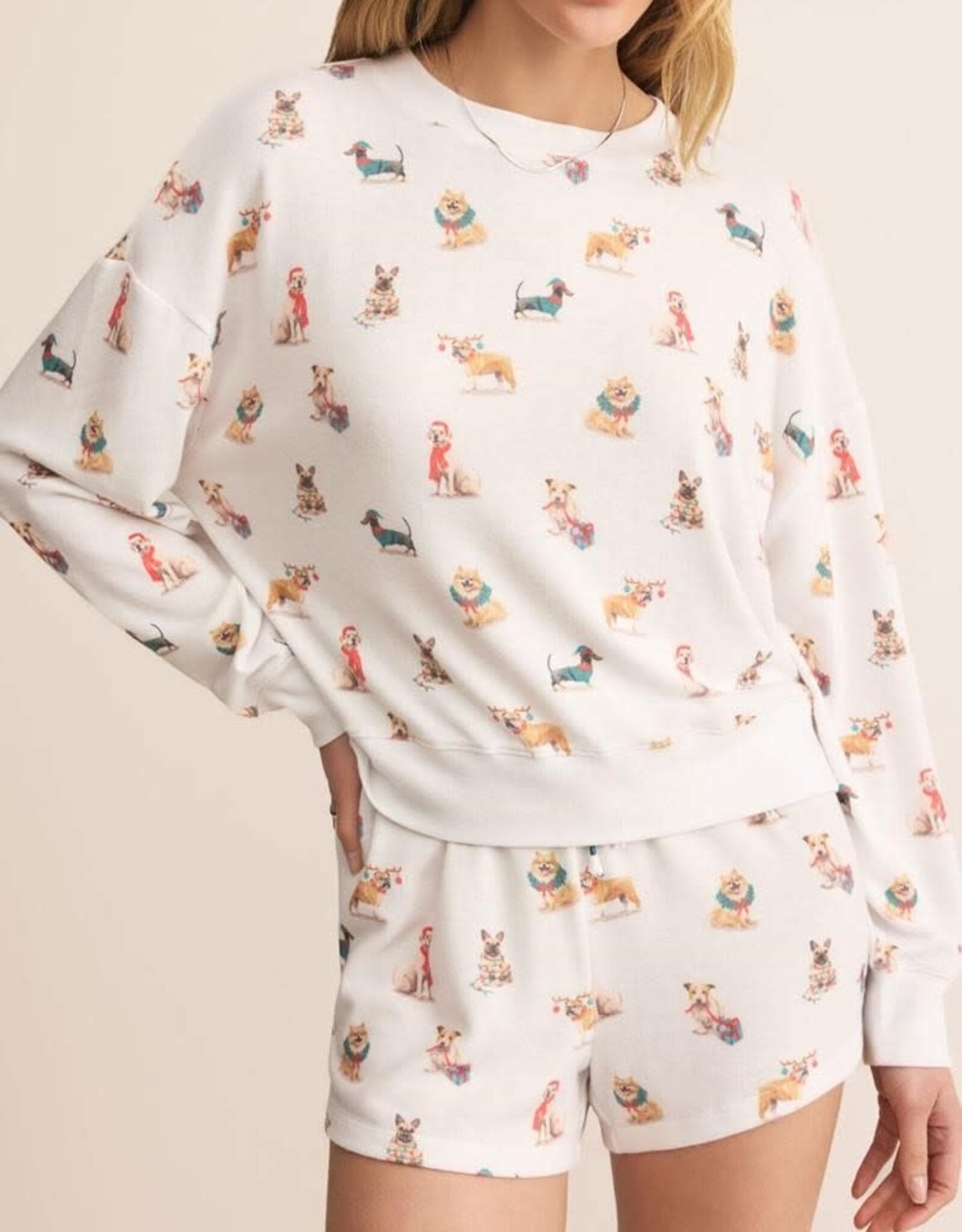 Z Supply  Cozy Up Pup Top