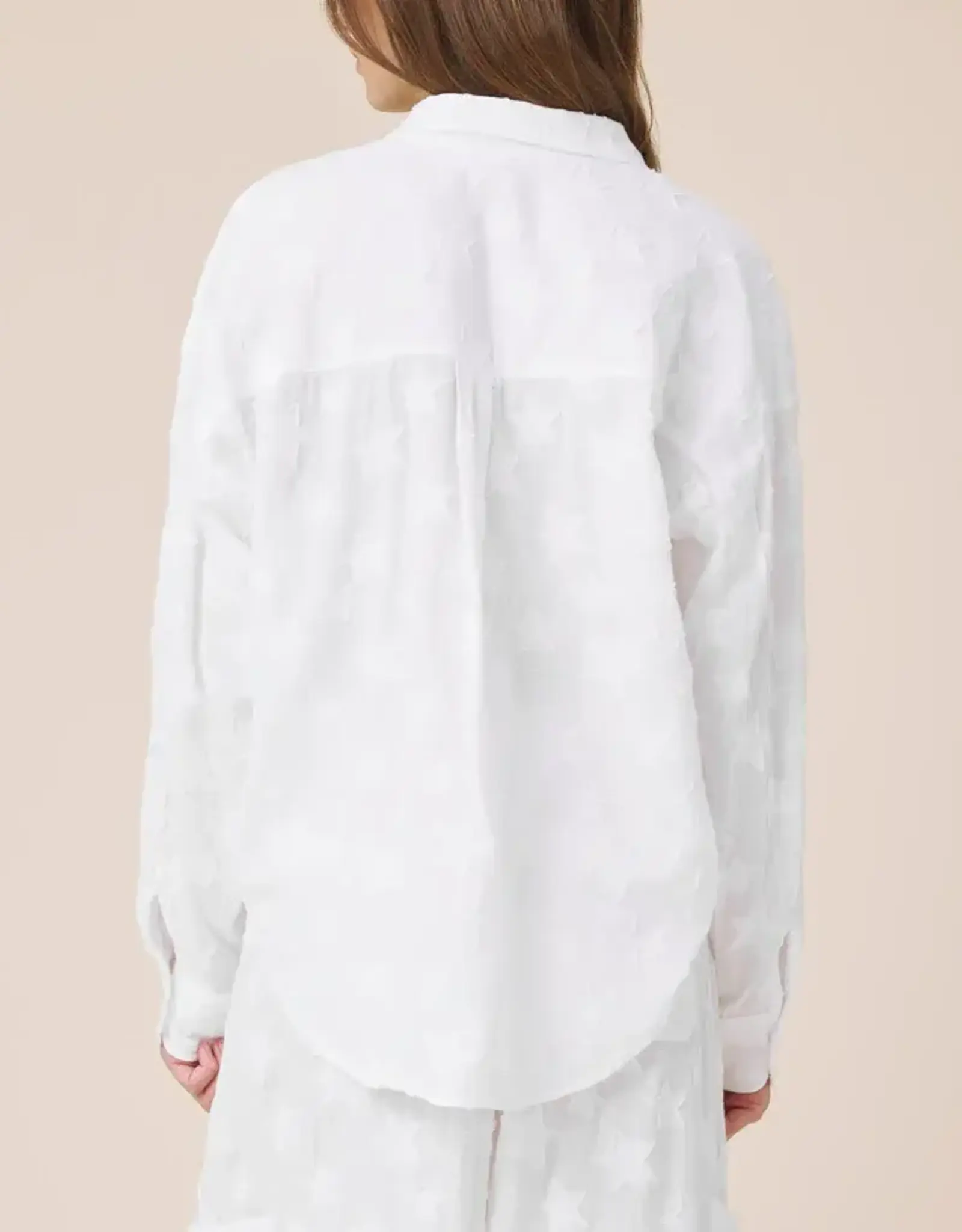 Splendid Caprice Star Button Down White