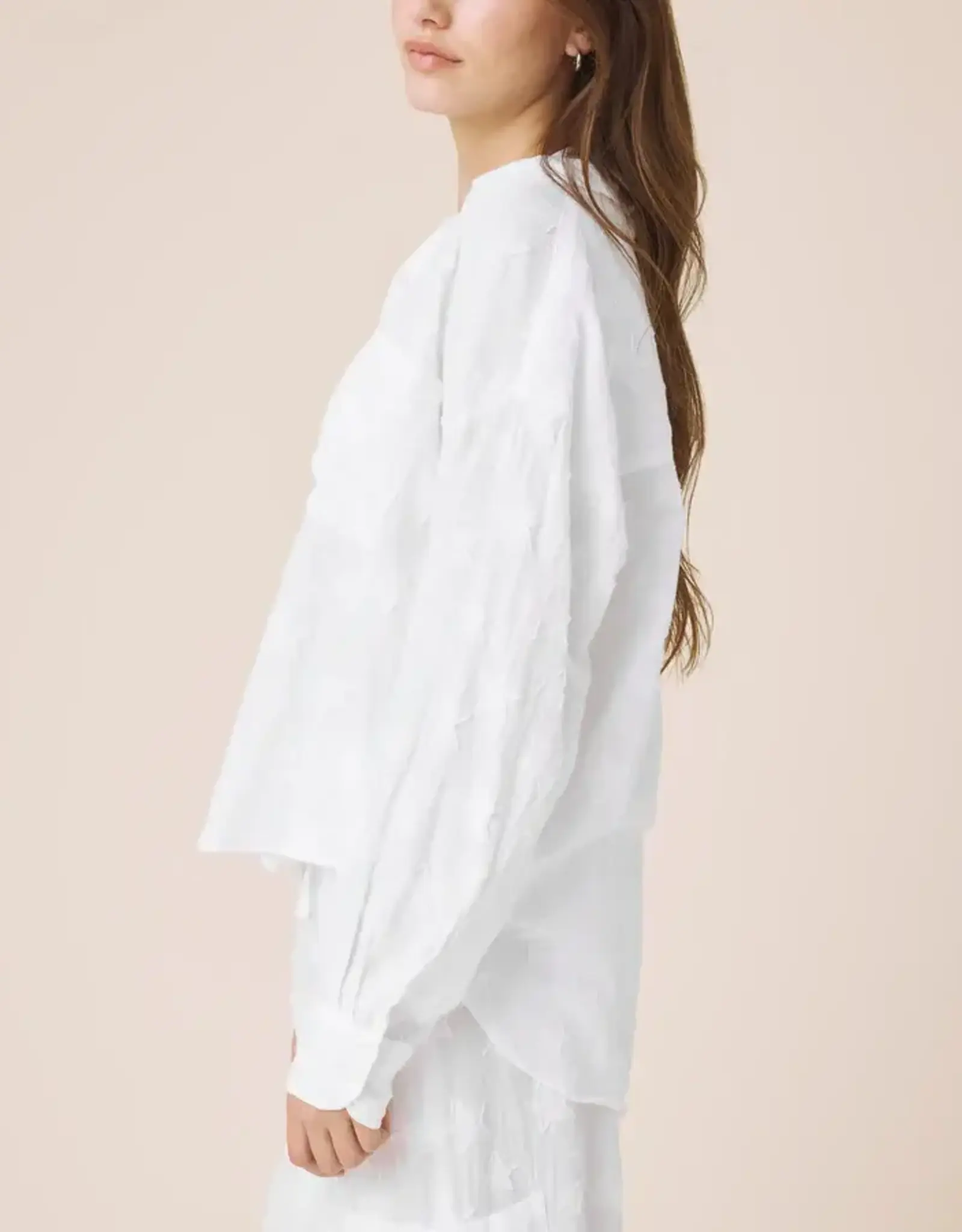 Splendid Caprice Star Button Down White