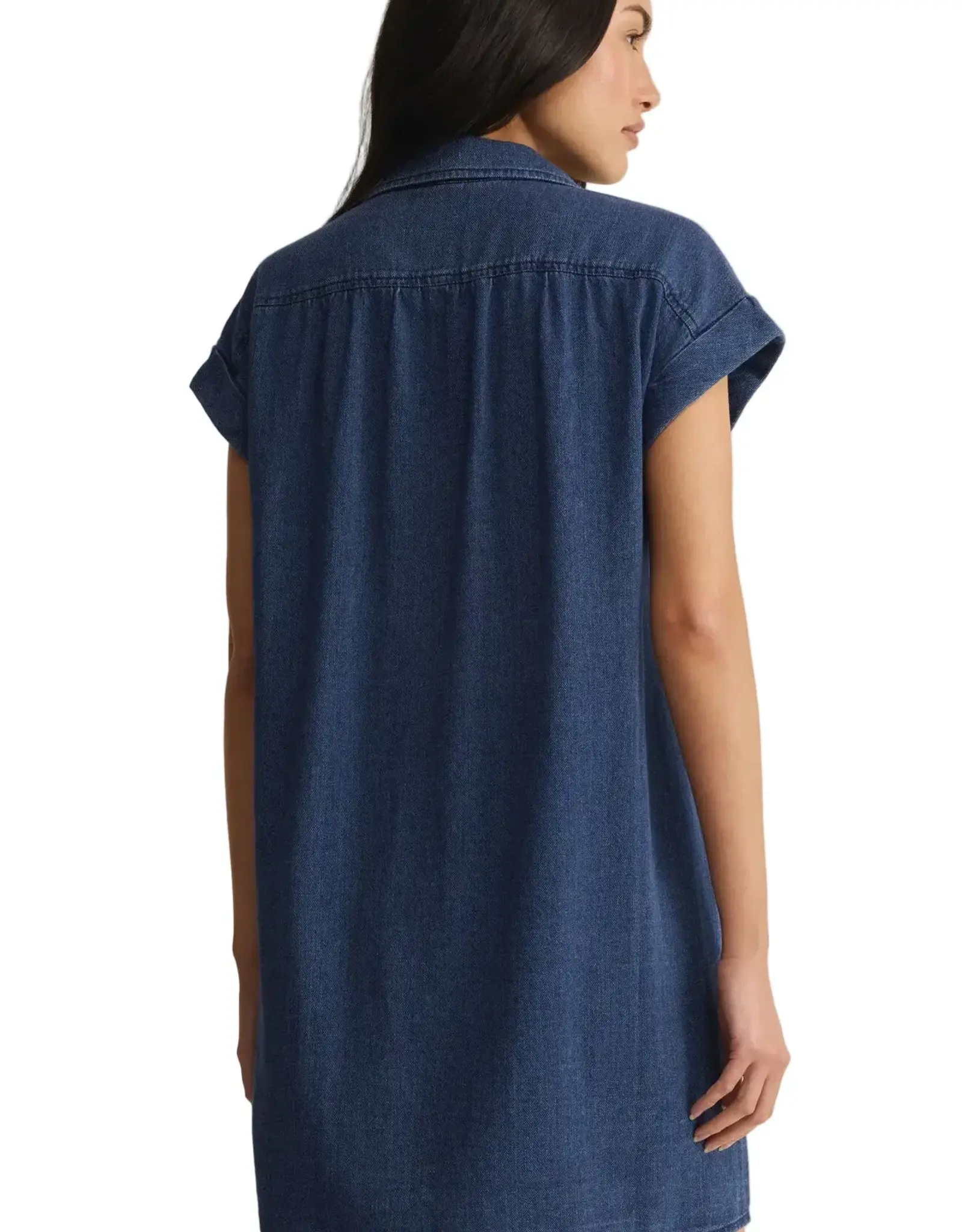 Z Supply Shellbound Twill Dress