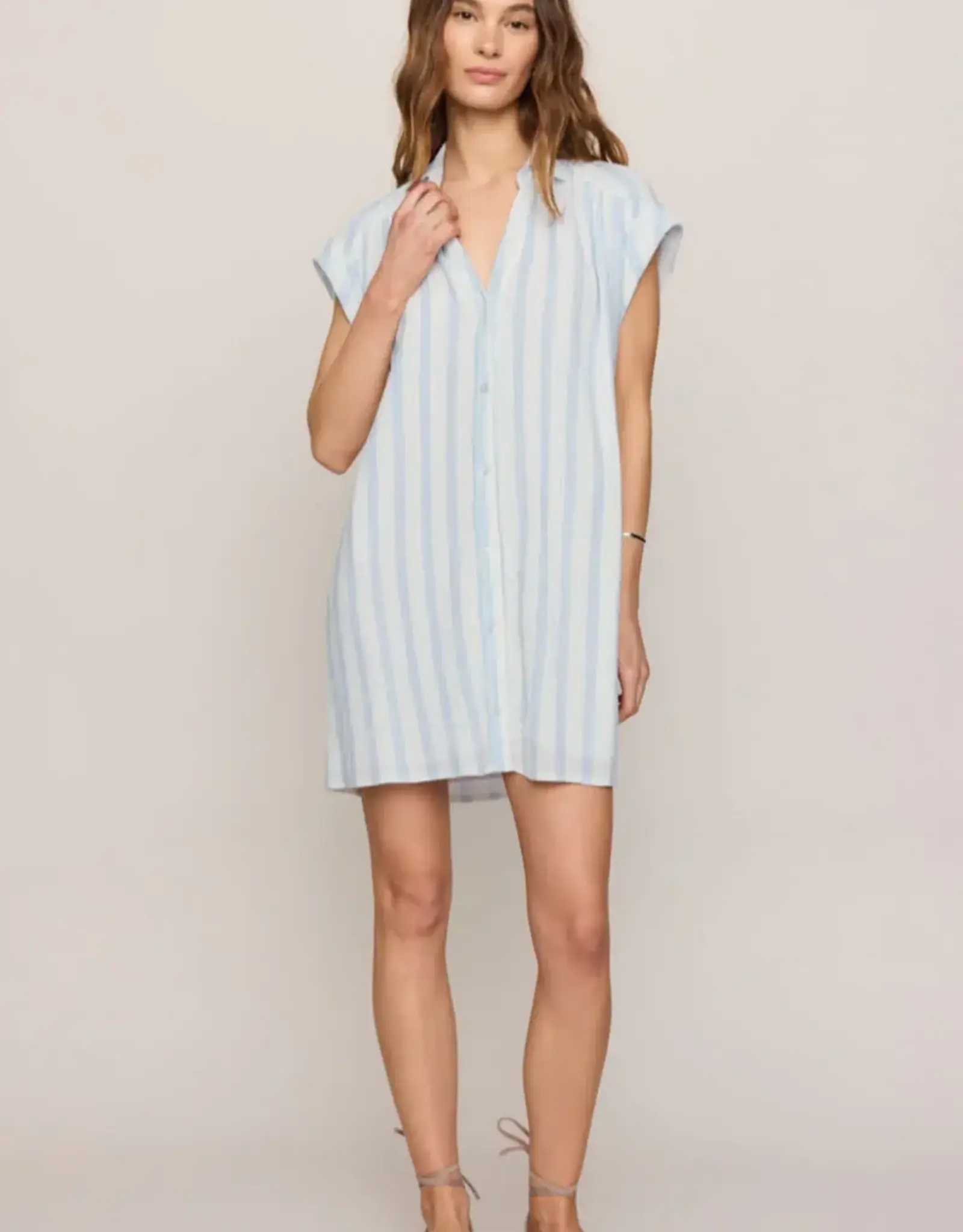 Z Supply  Shellbound Striped Dress
