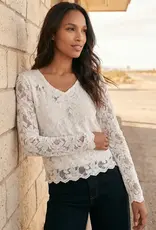Karen Kane  Burnout Lace Top Cream